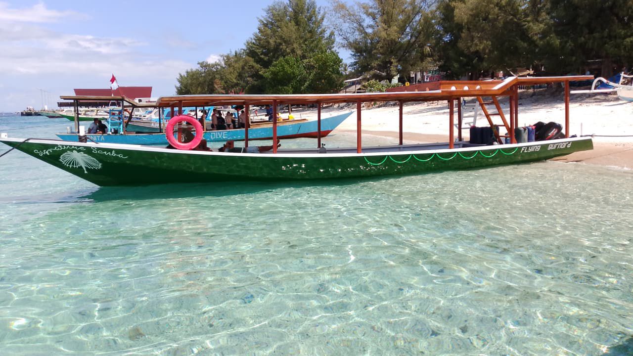 Signature Scuba Diving Adventure